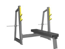 دستگاه بدنسازی پرس سینه باشگاهی طرح دی اچ زد