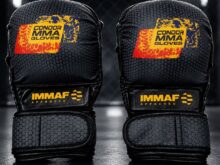 دستکش mma اسپارینگ